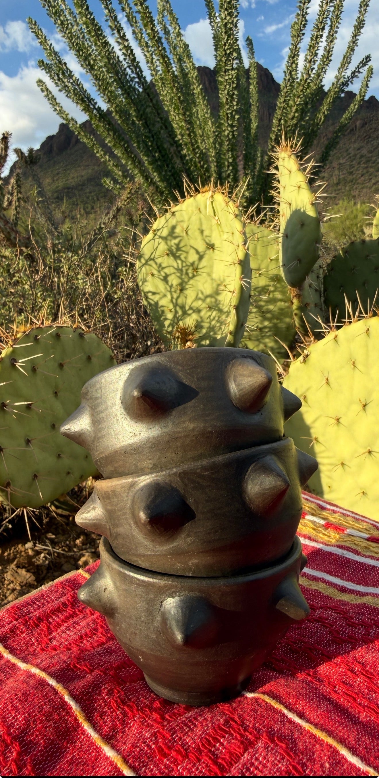 Pochote Mezcalero