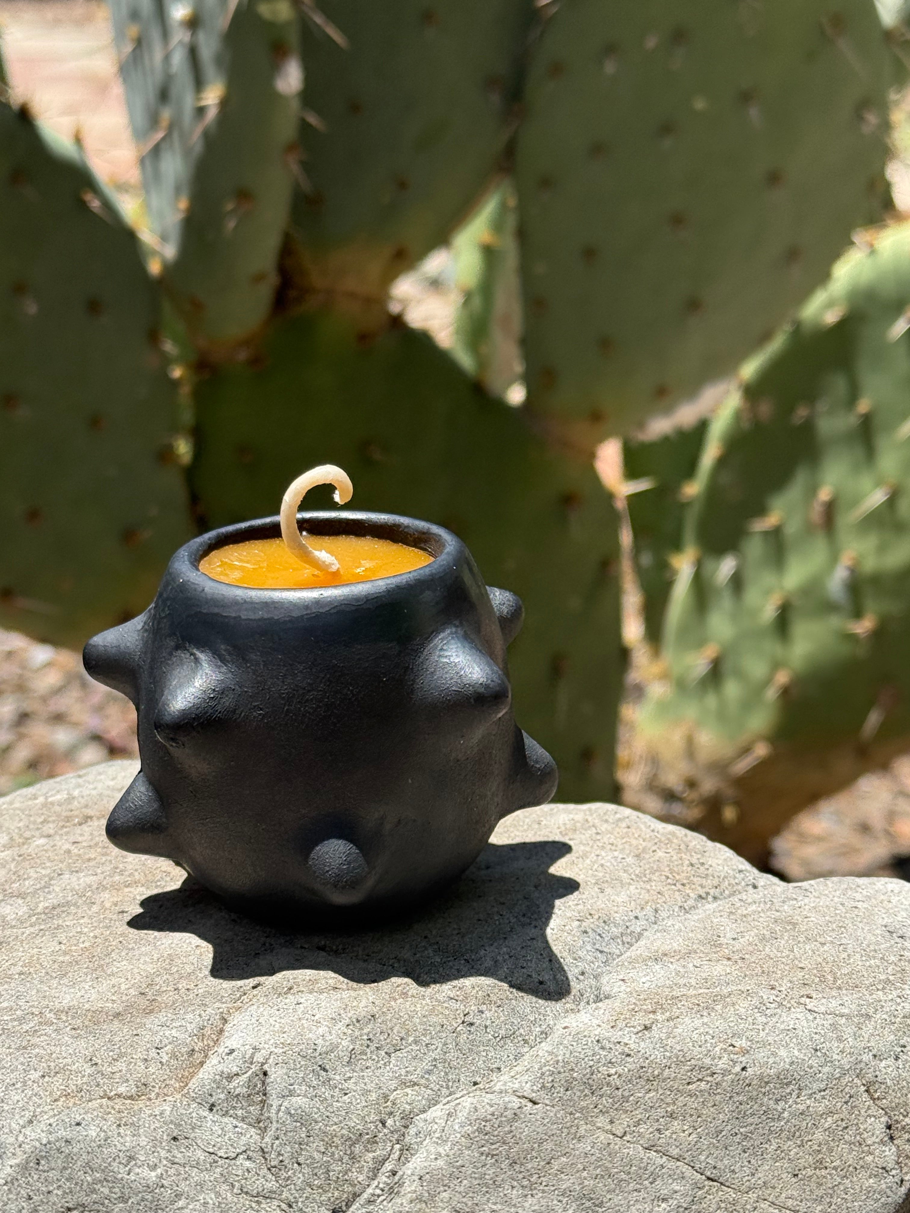 Pochote Mezcalero