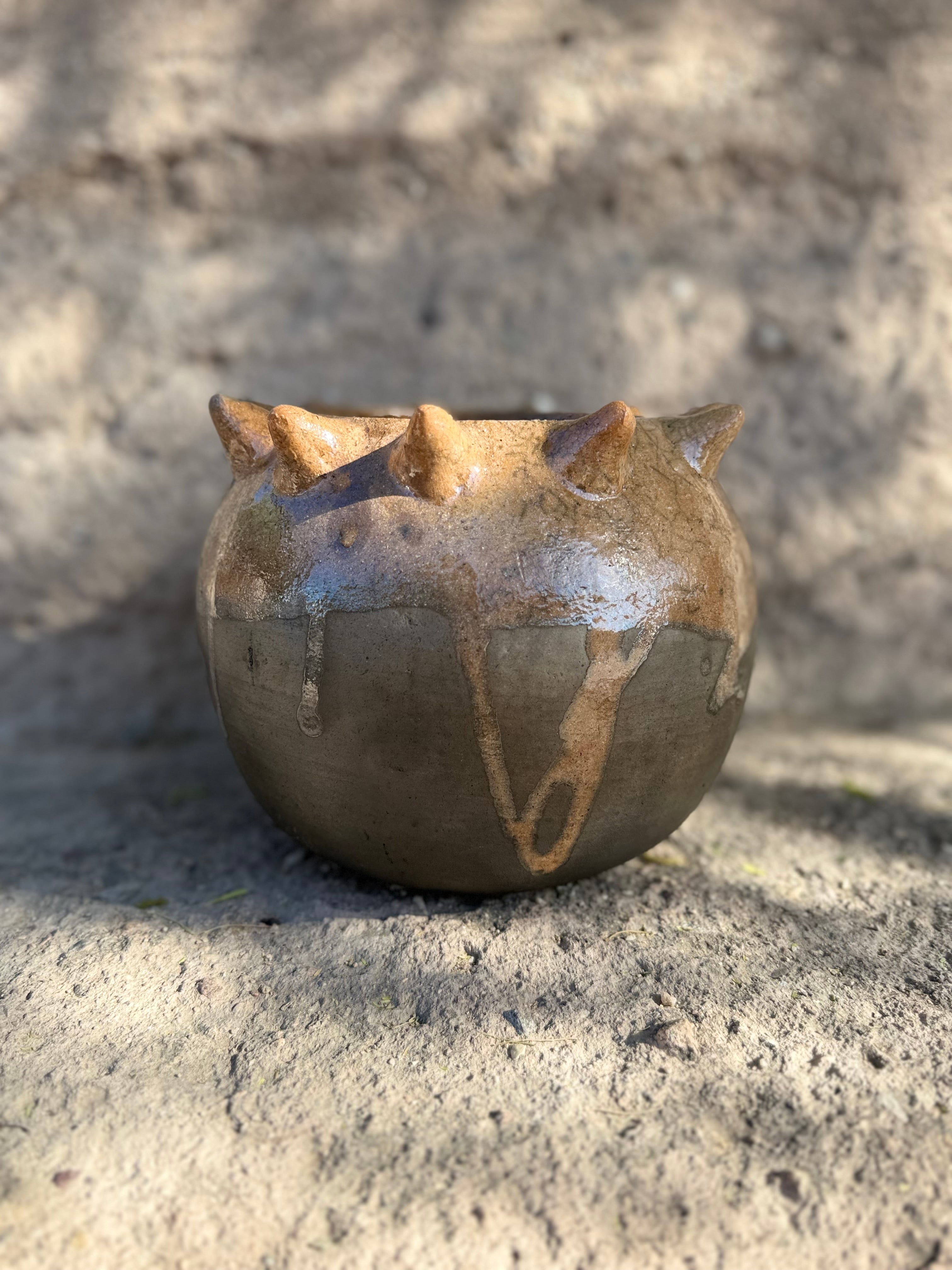 Raíces Pochote Planter