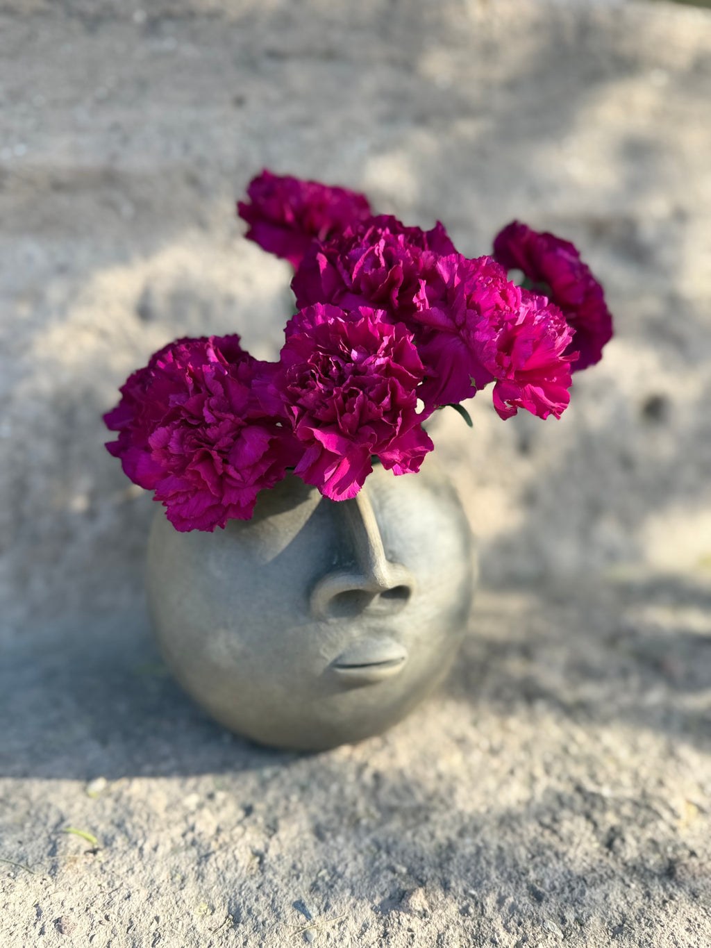 Doble Rostro Planter