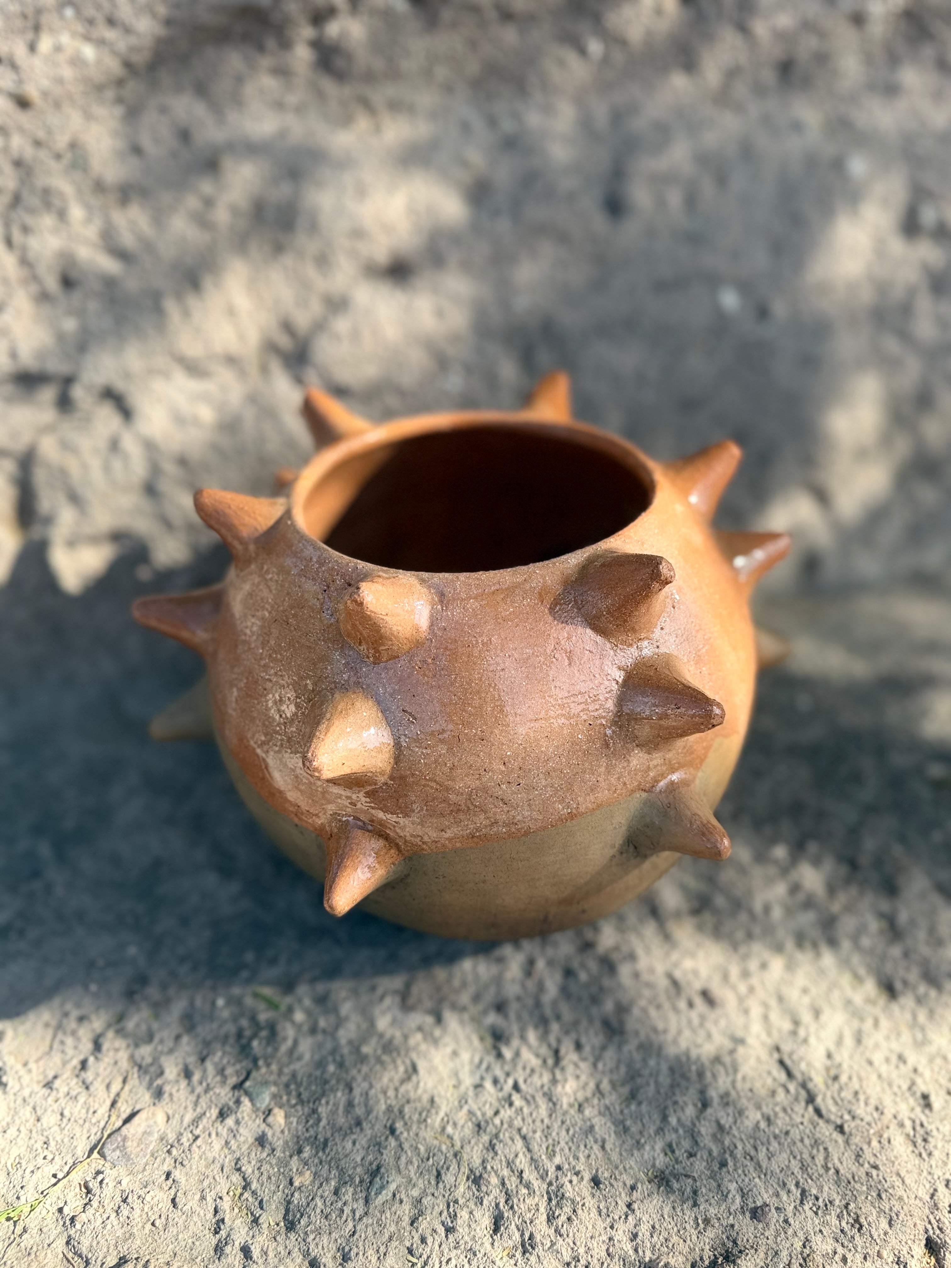 Guardián Pochote Planter