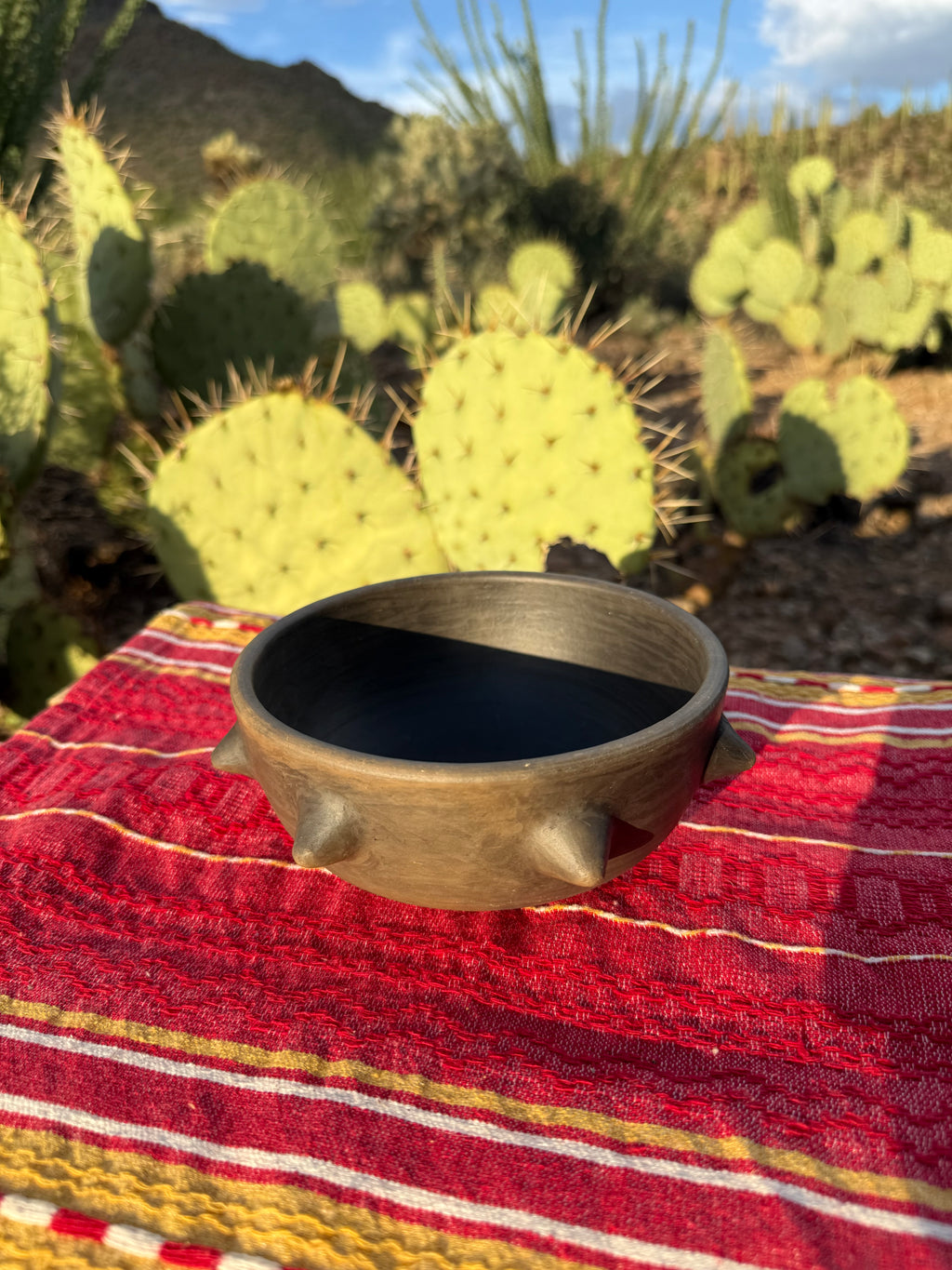 Pochote Bowl