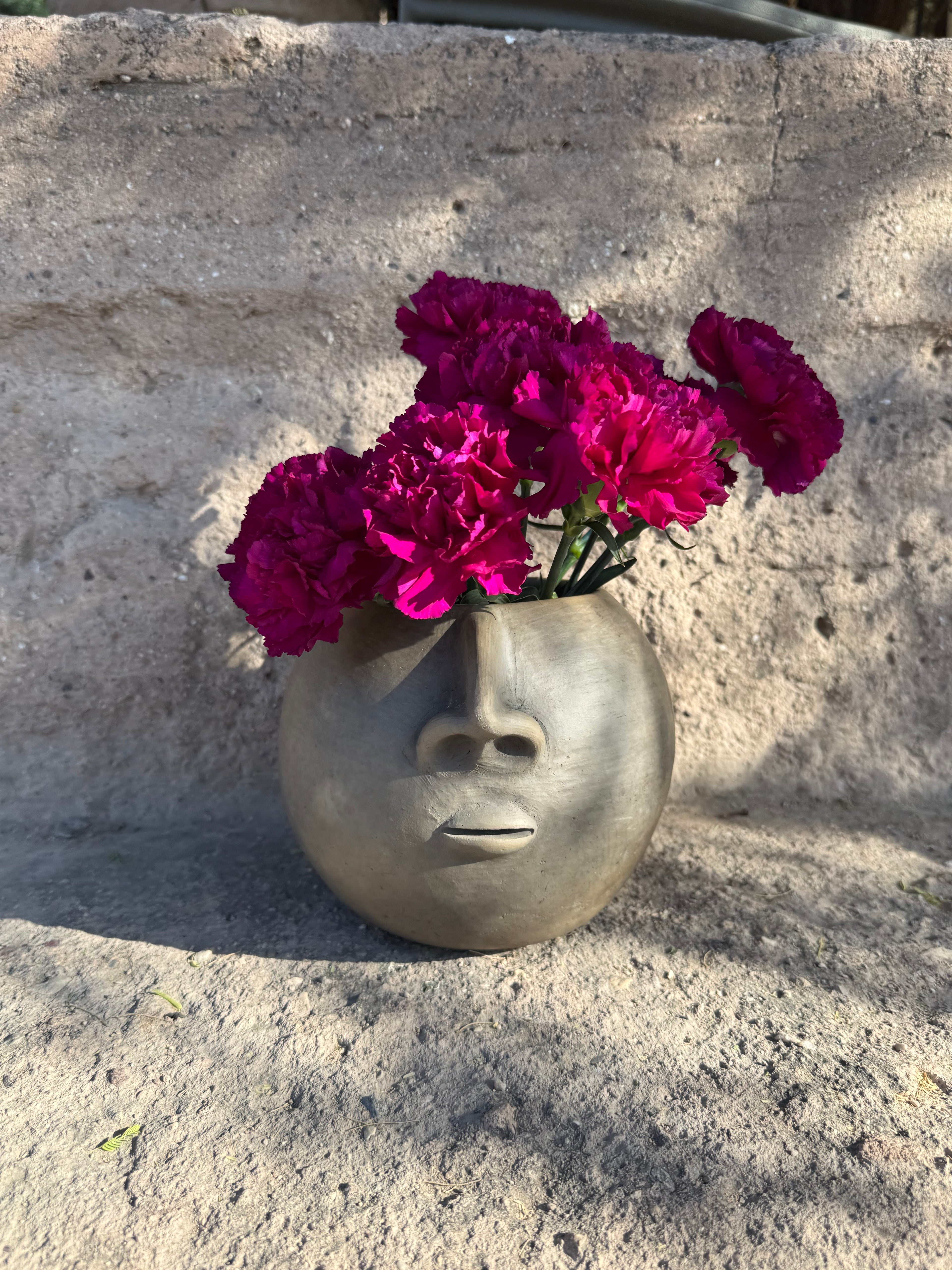Doble Rostro Planter