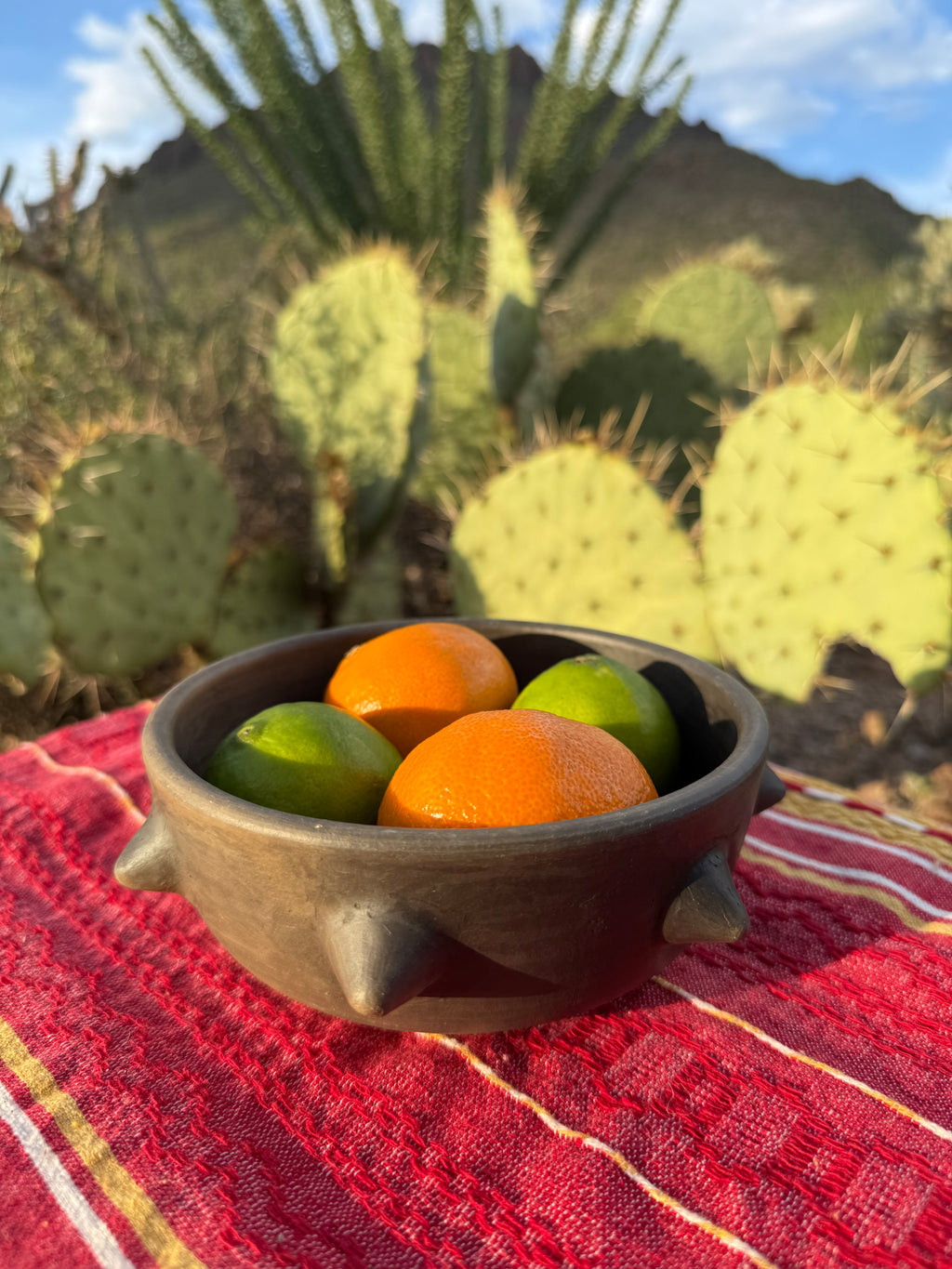 Pochote Bowl