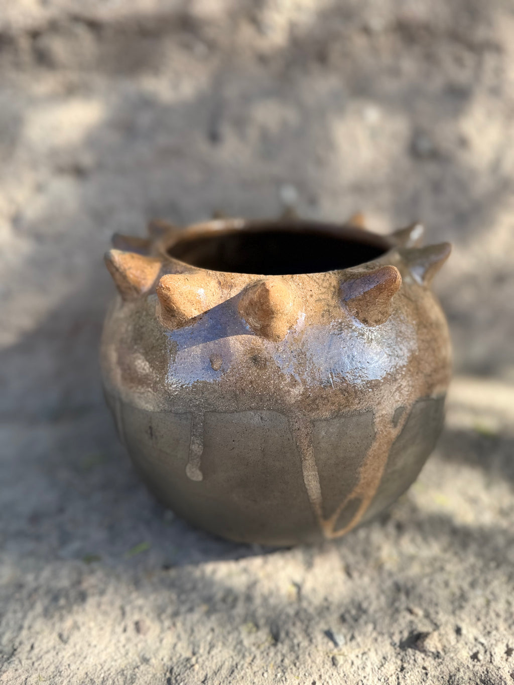 Raíces Pochote Planter