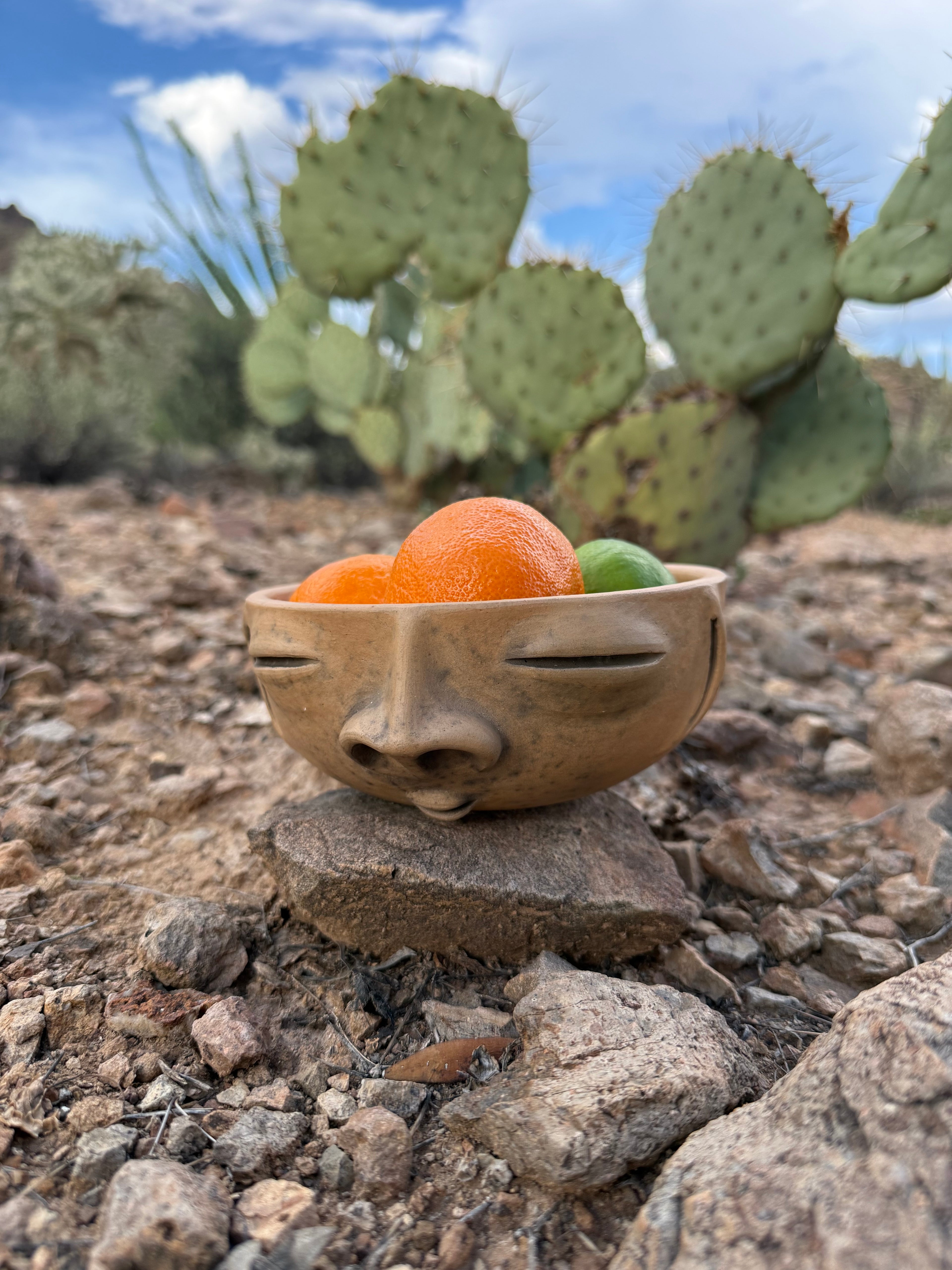 Presencia Face Bowl
