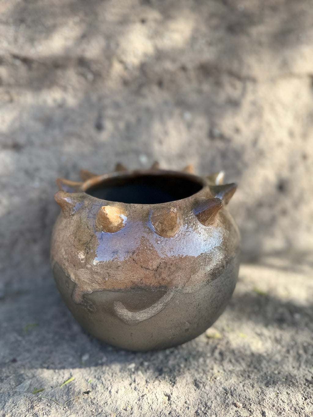 Raíces Pochote Planter