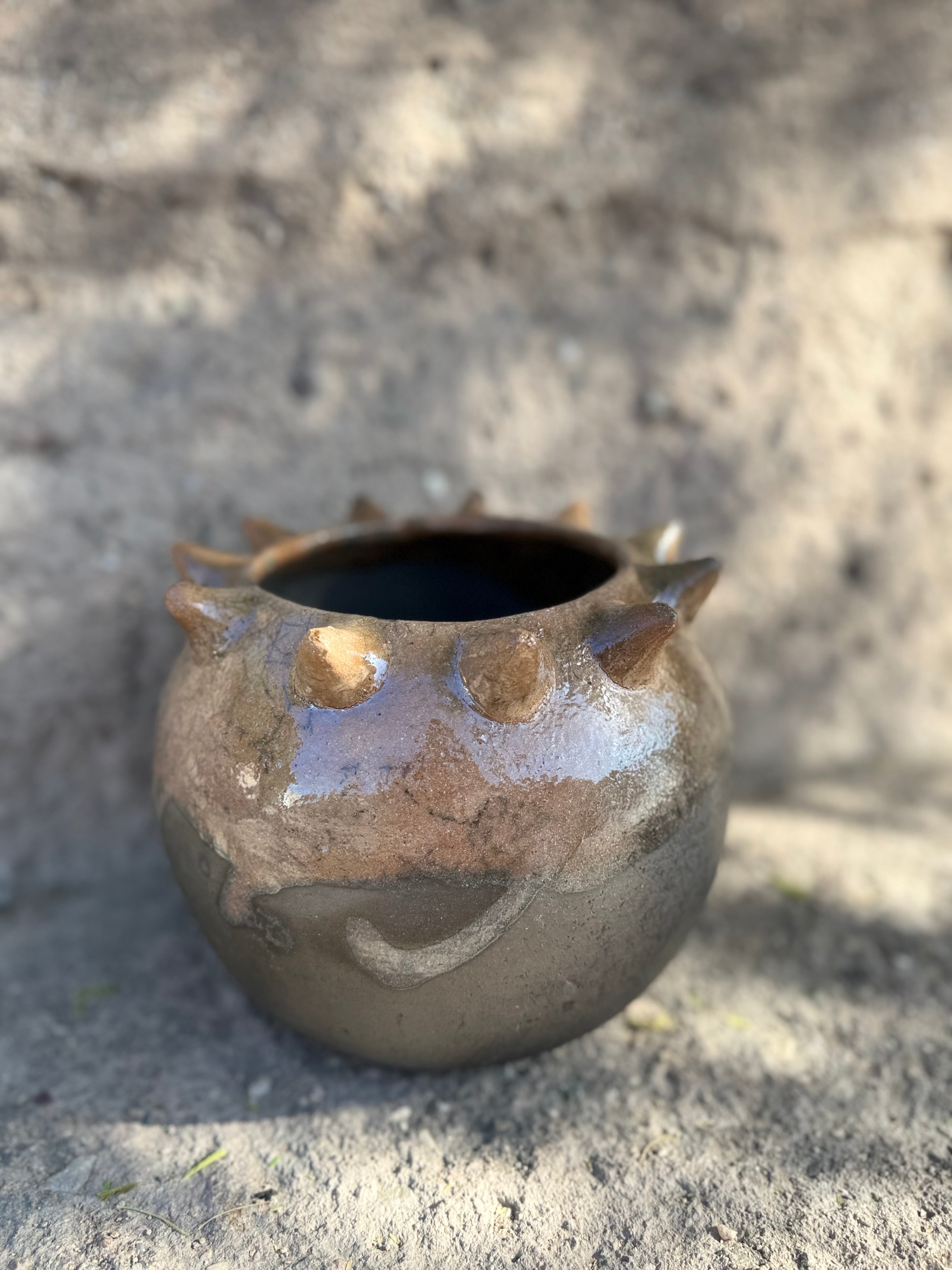Raíces Pochote Planter