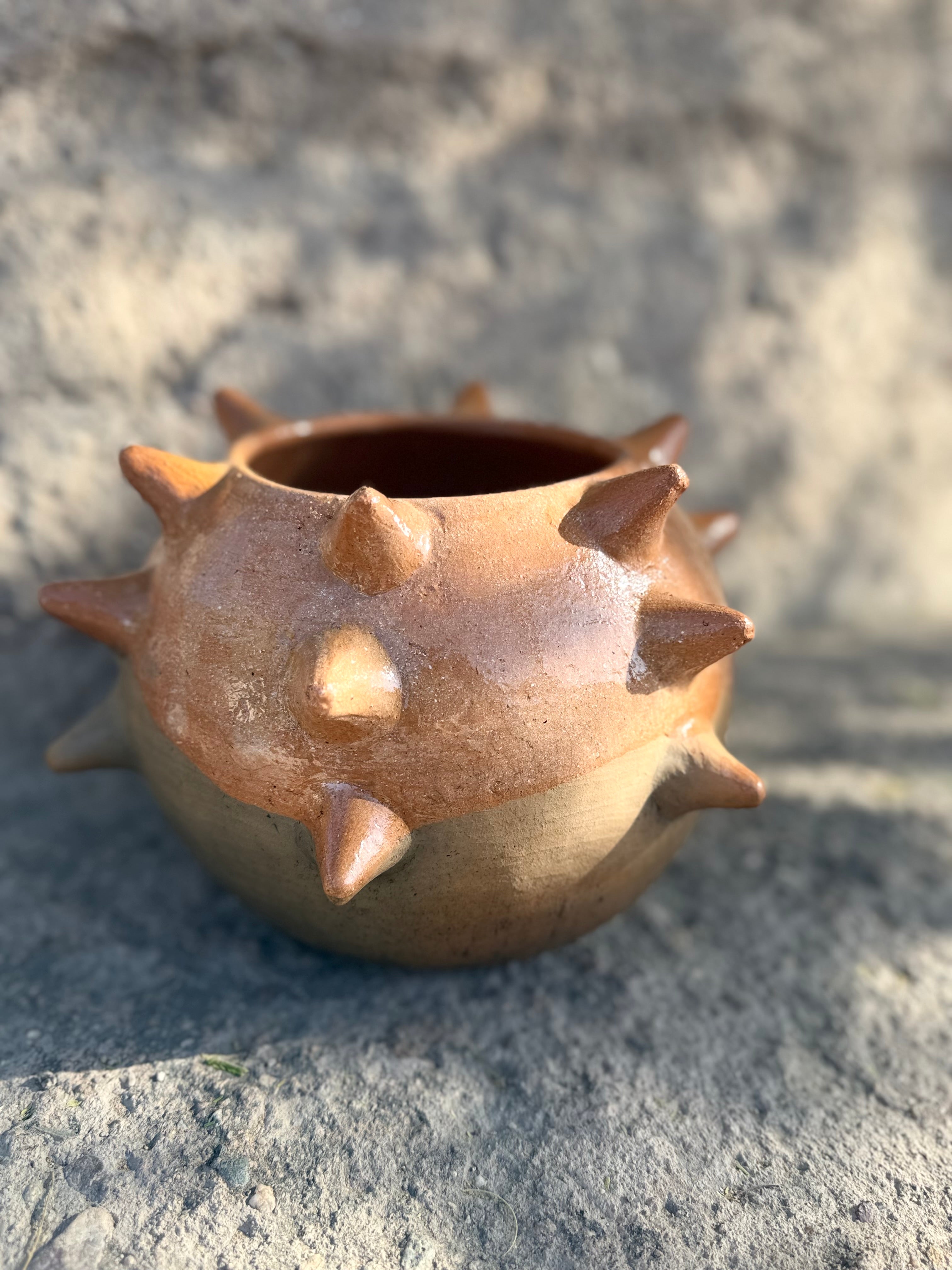 Guardián Pochote Planter