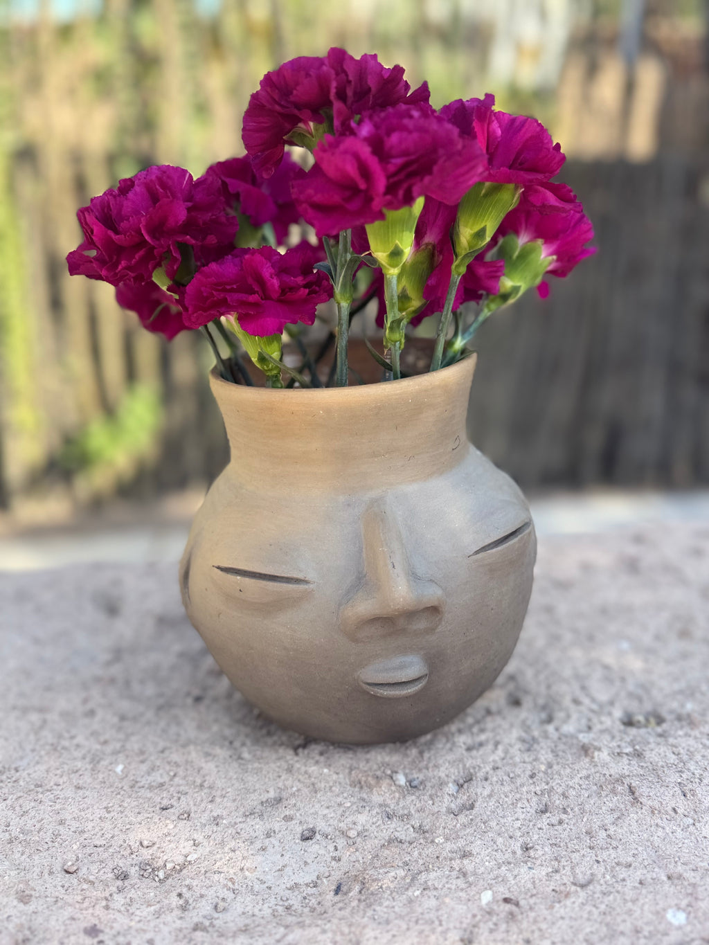 El Silencio Vase & Water Vessel