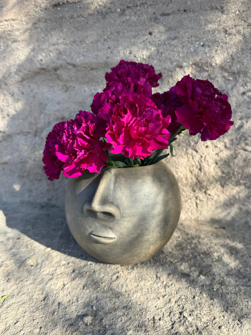 Doble Rostro Planter