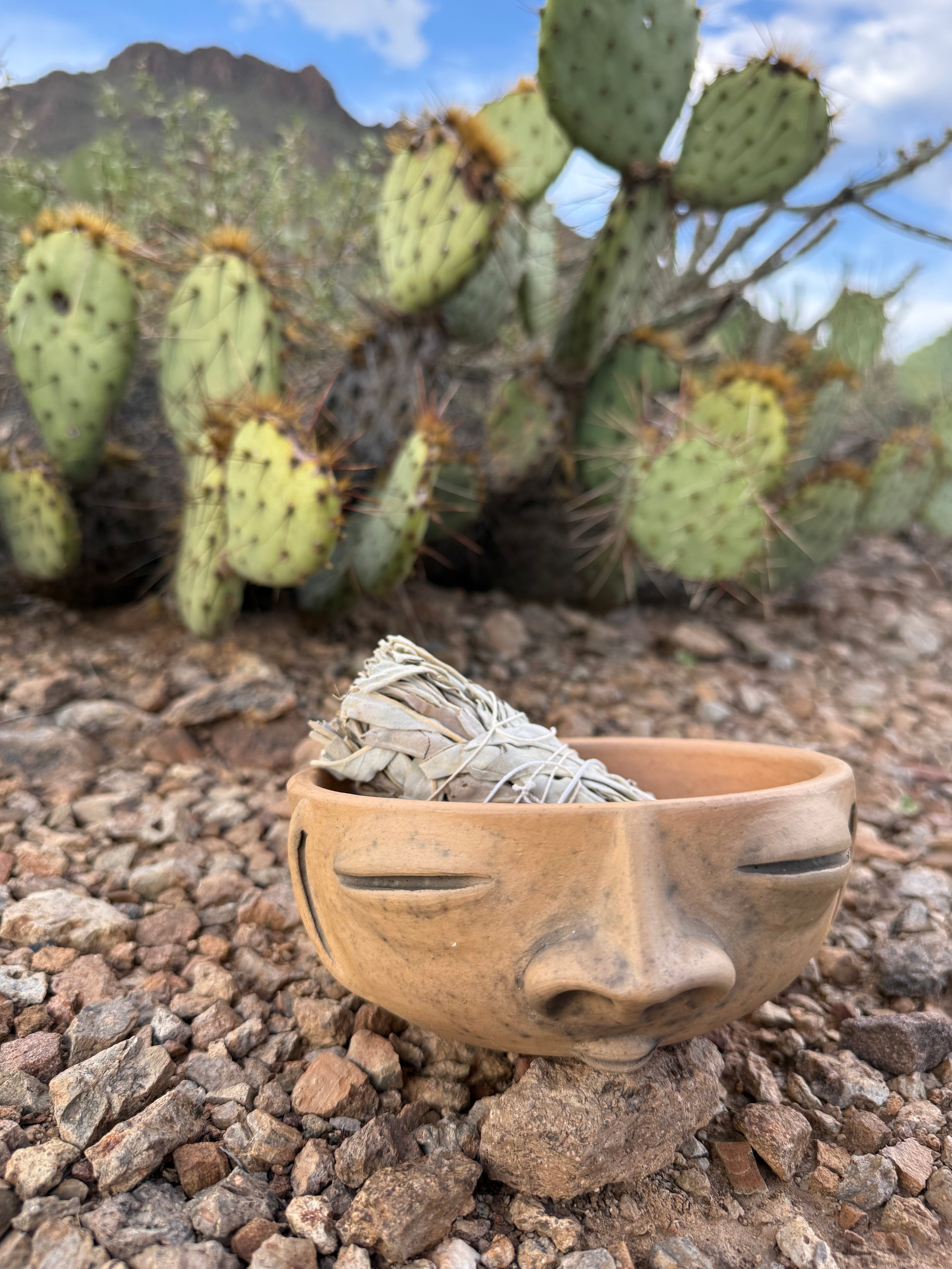 Presencia Face Bowl