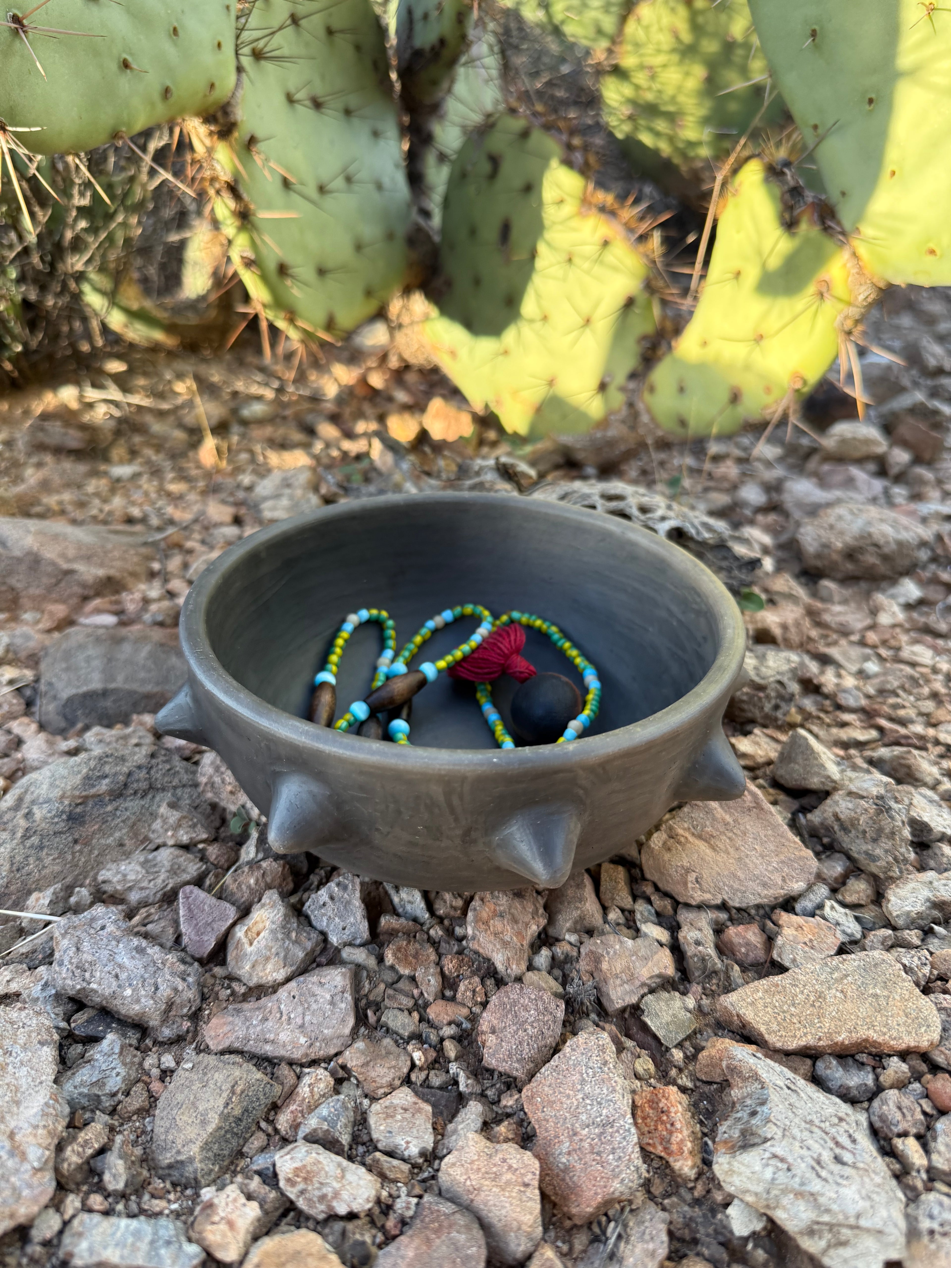 Pochote Bowl