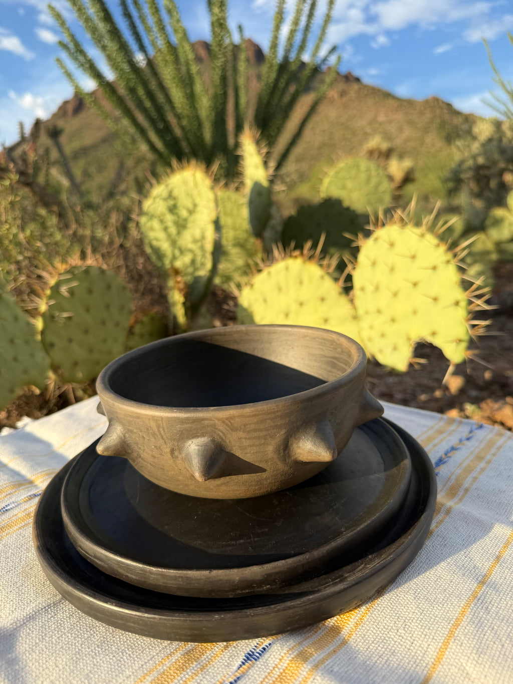Pochote Bowl