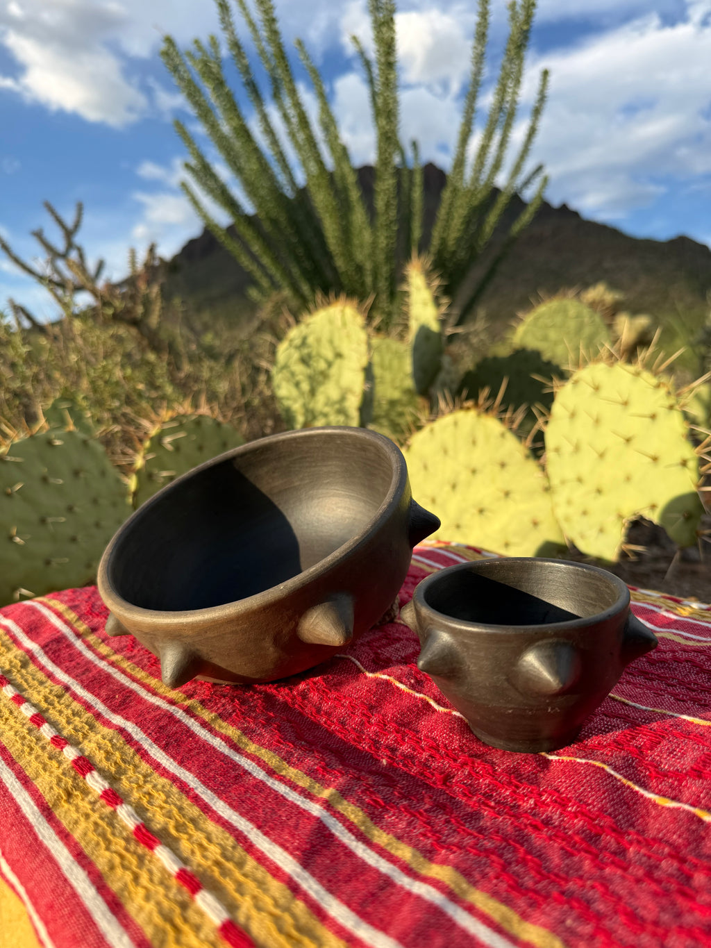 Pochote Bowl