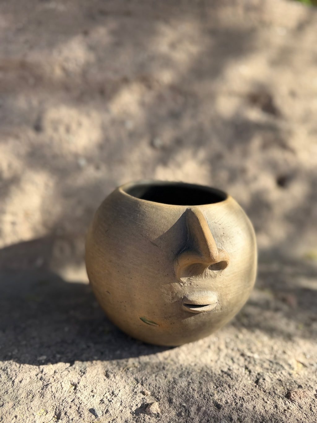 Doble Rostro Planter