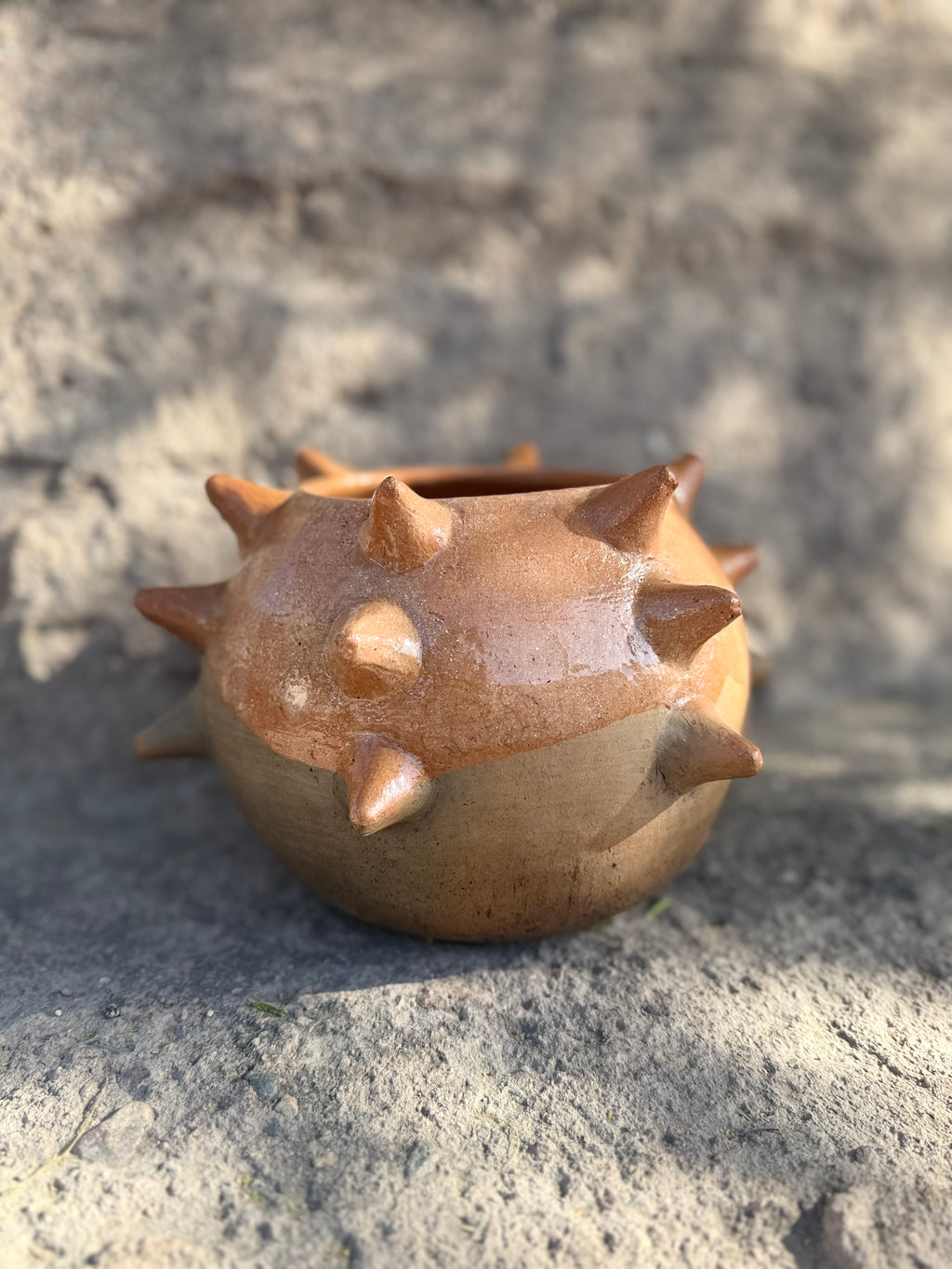 Guardián Pochote Planter