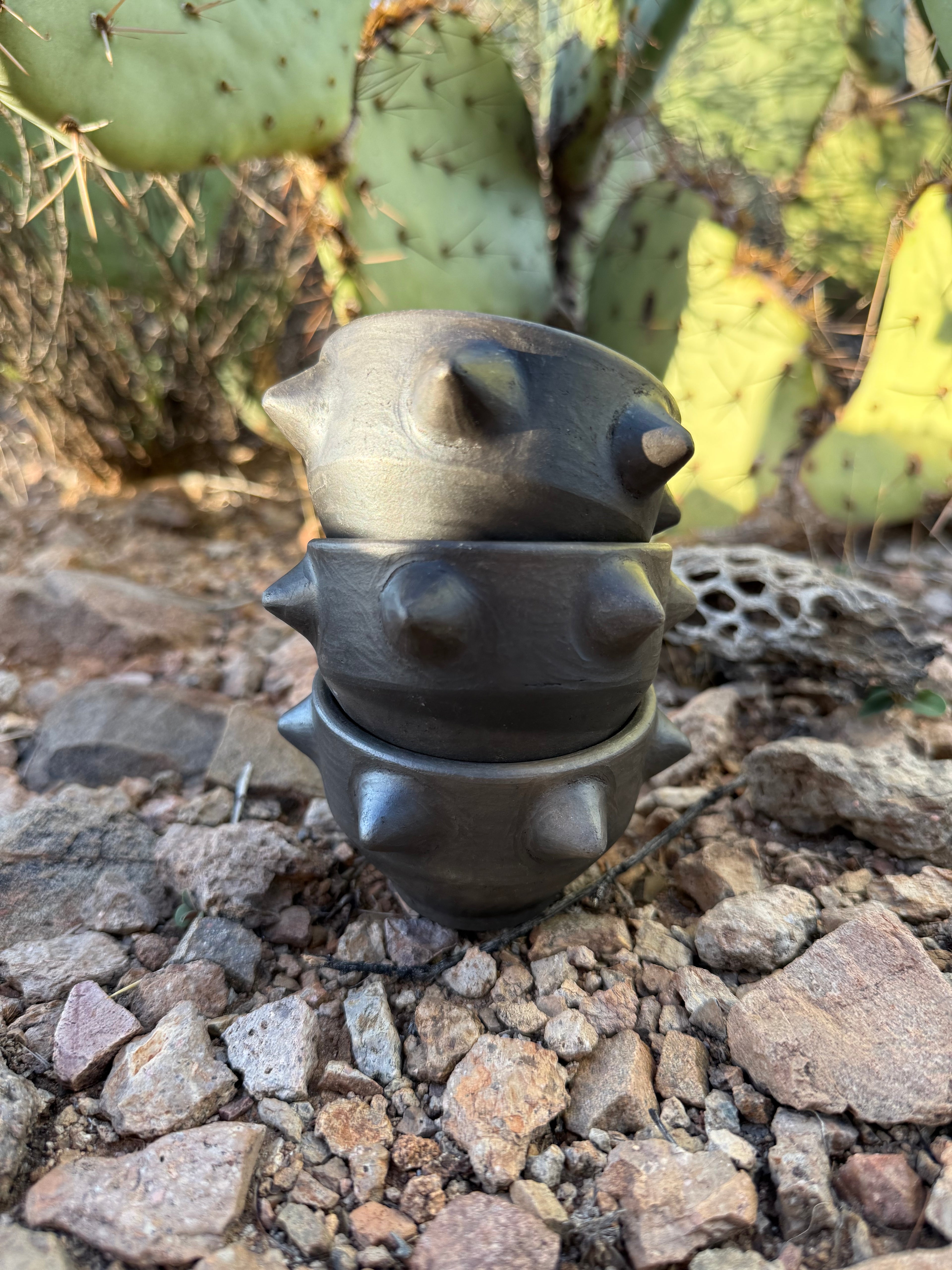 Pochote Mezcalero