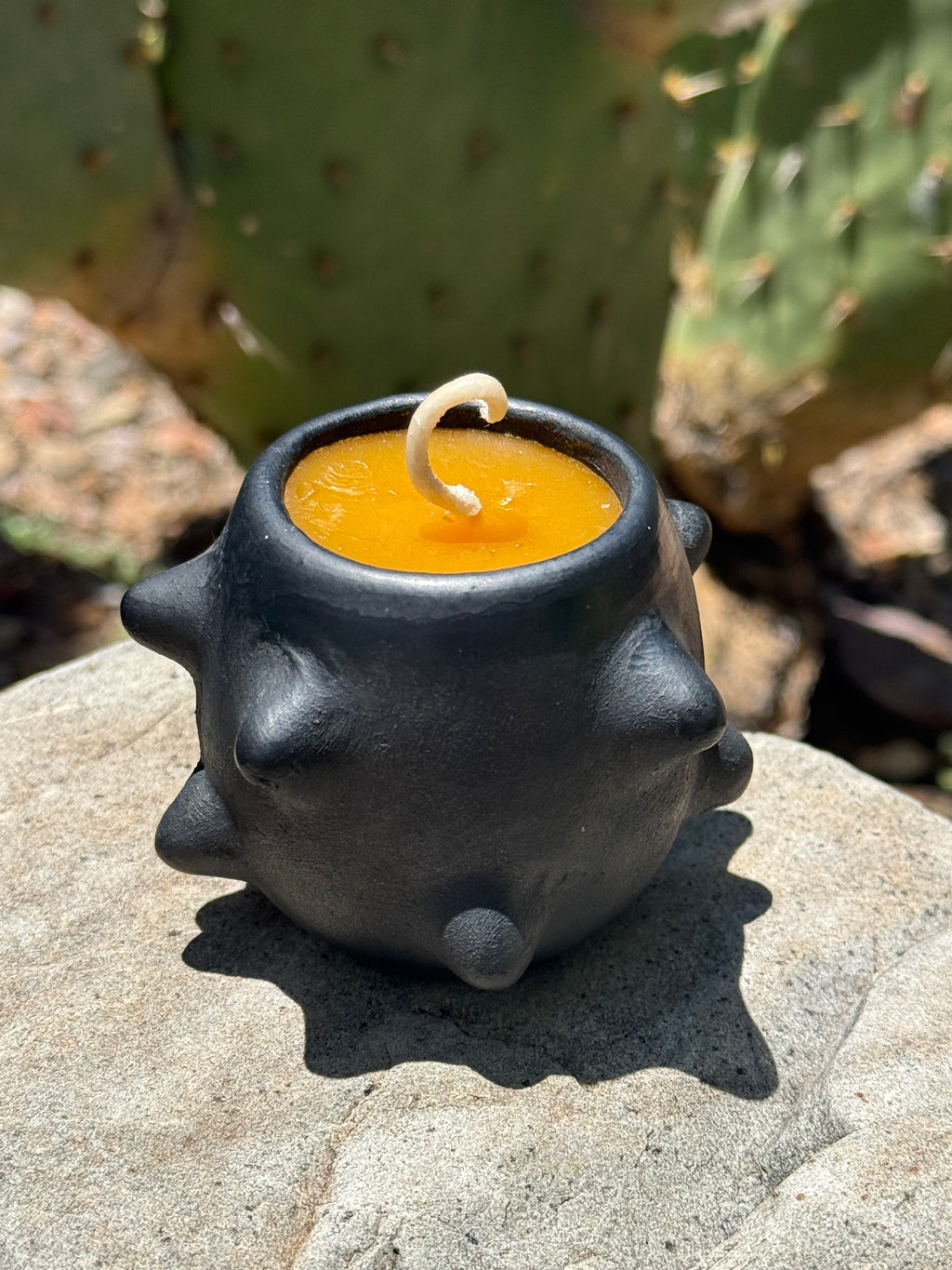 Pochote Mezcalero