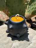Pochote Mezcalero