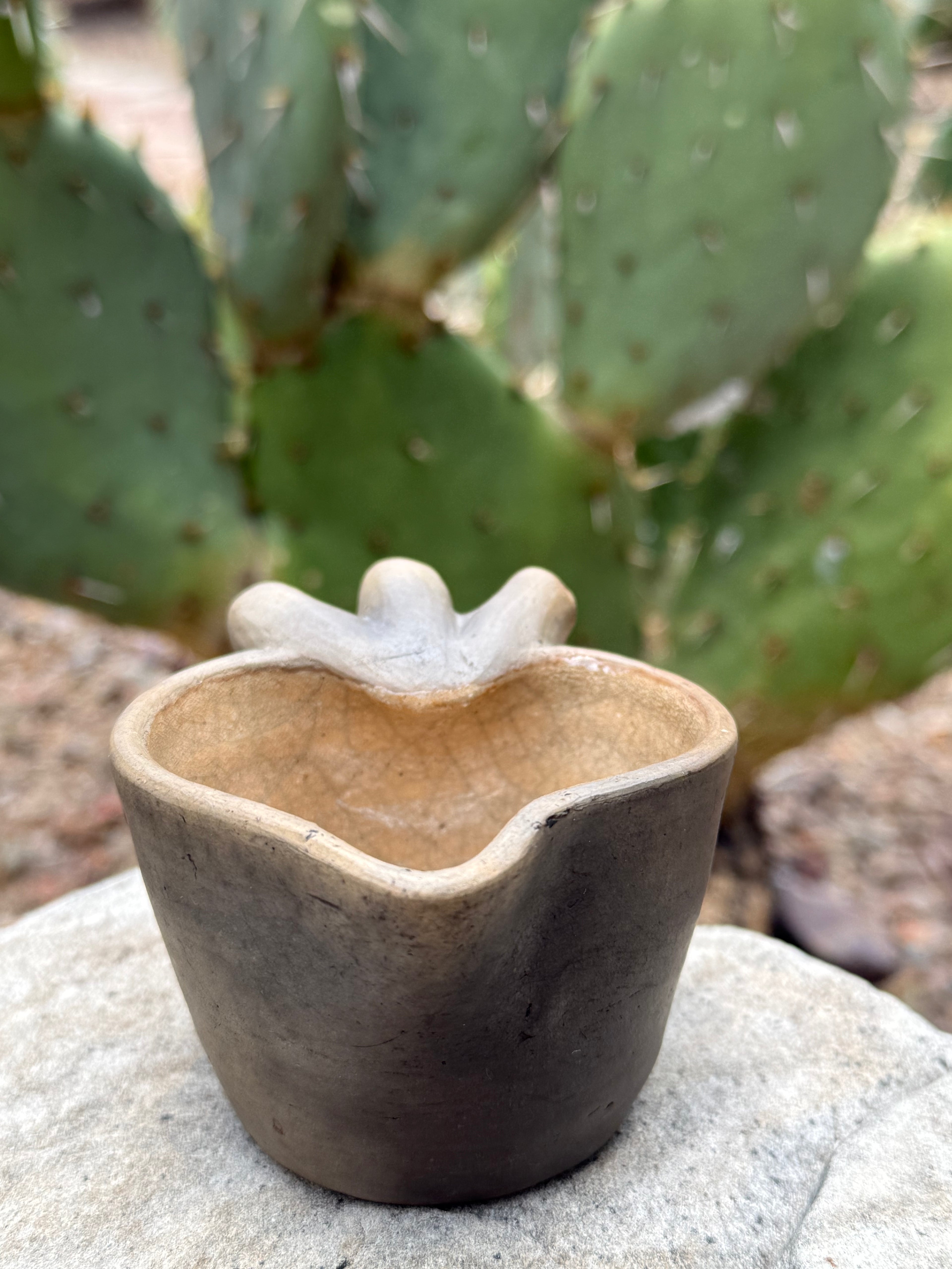 Mi Corazón Mezcalero