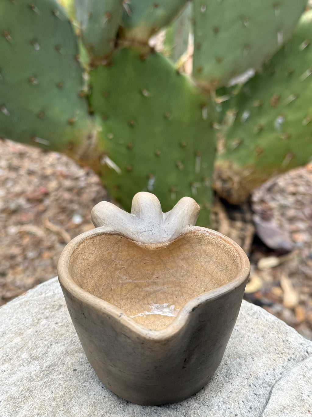 Mi Corazón Mezcalero