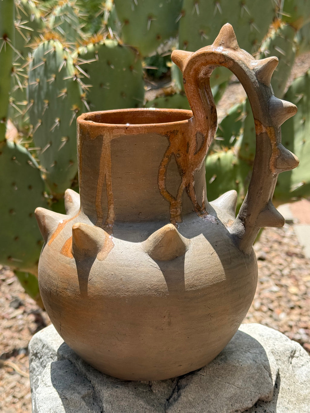 Pochote Jarro | Pitcher