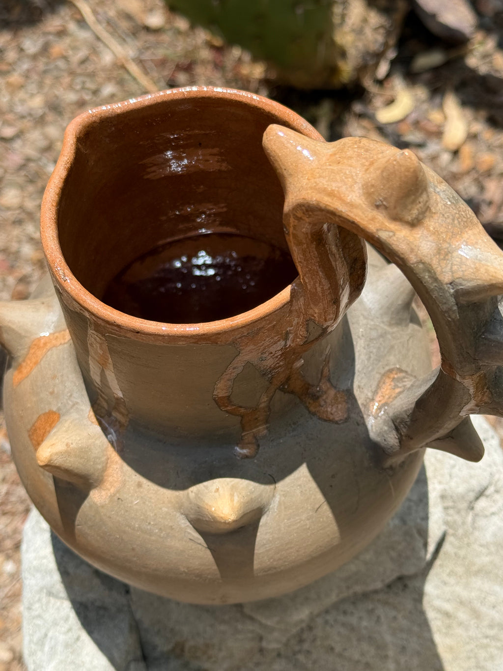 Pochote Jarro | Pitcher