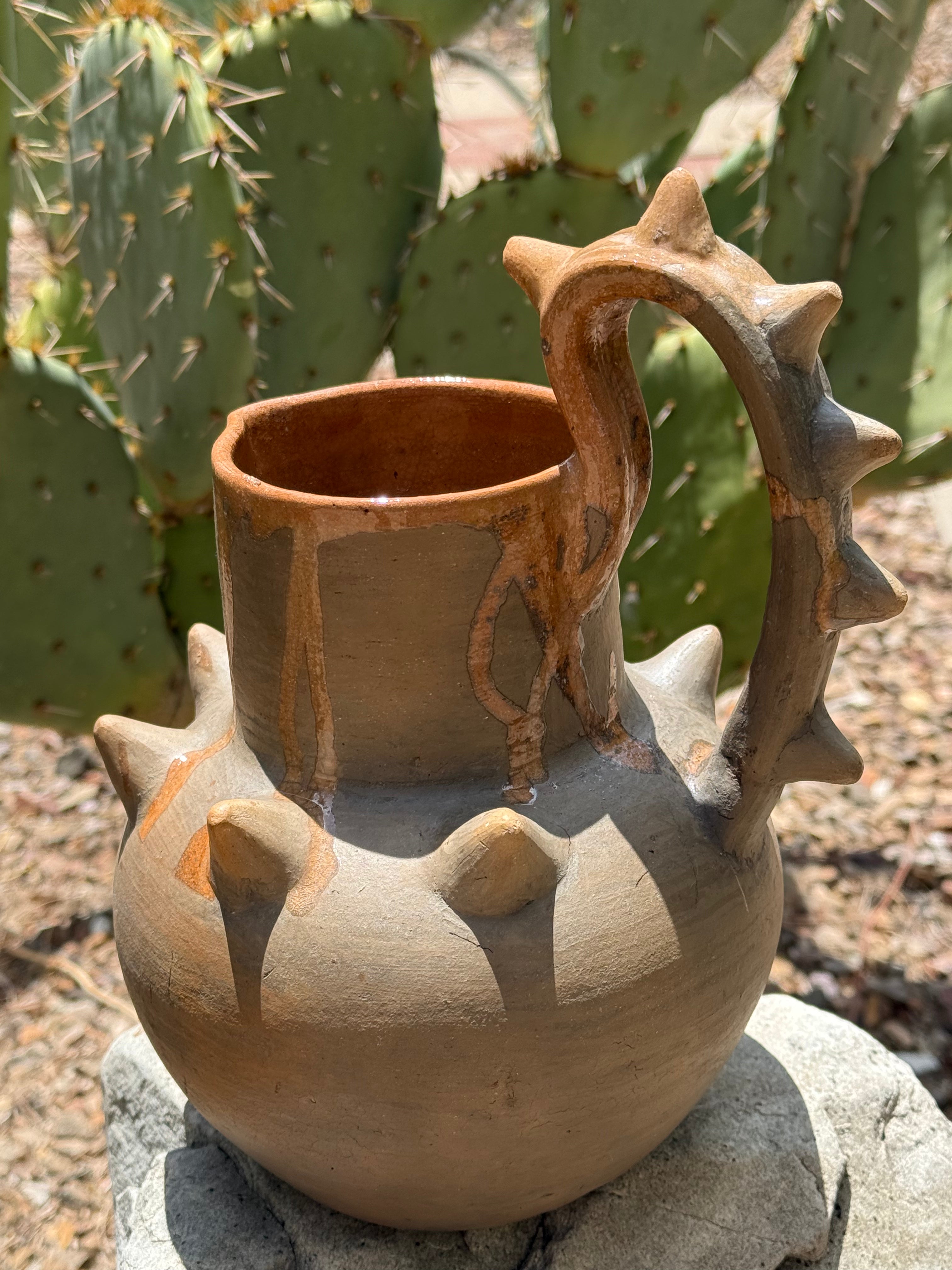 Pochote Jarro | Pitcher