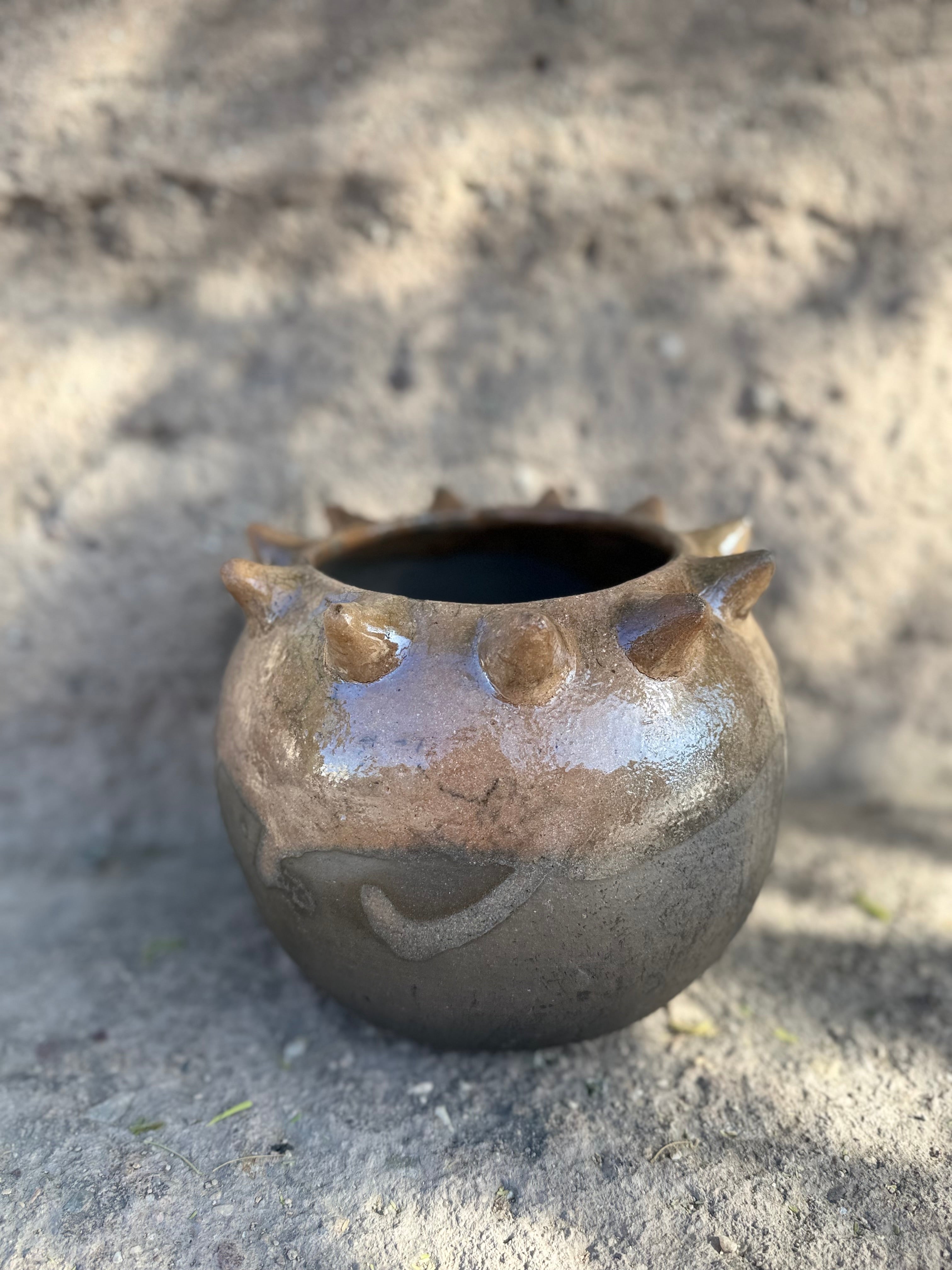 Raíces Pochote Planter