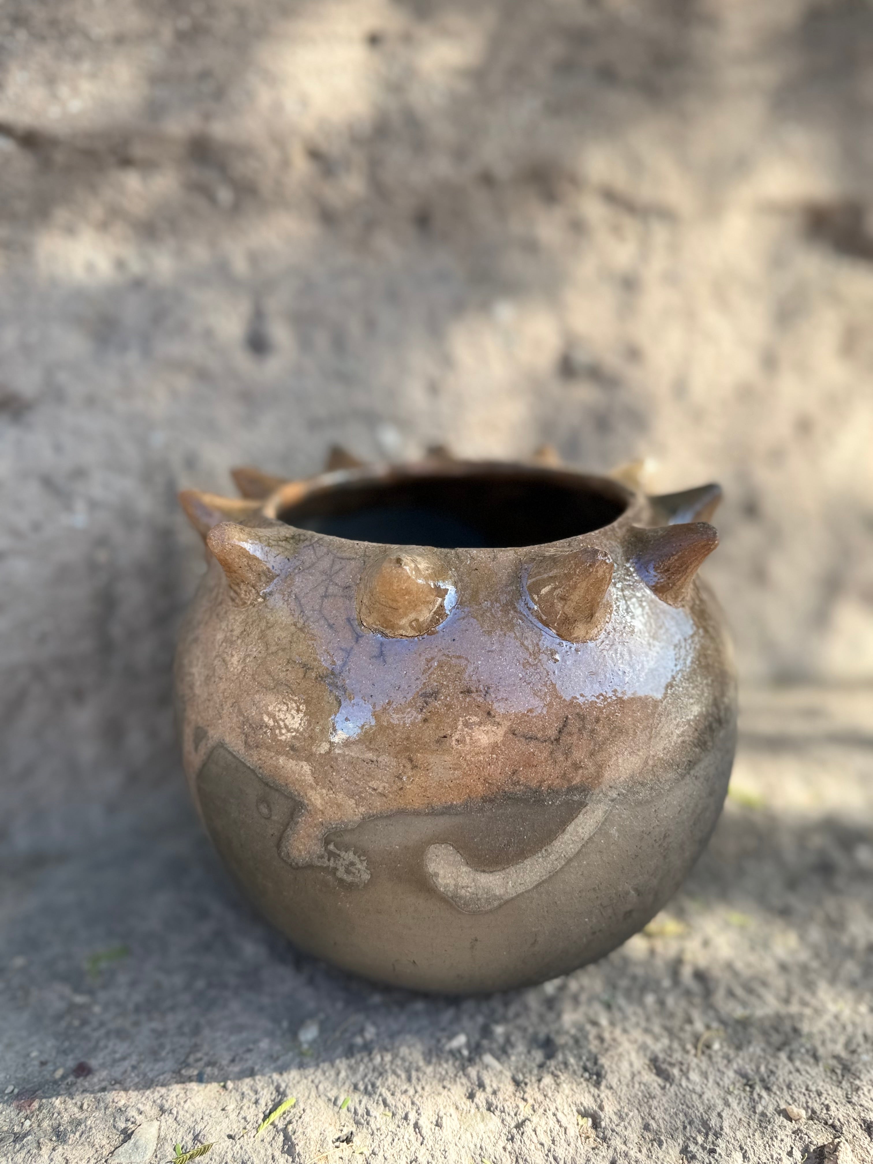 Raíces Pochote Planter